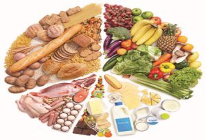 Food & Nutrition